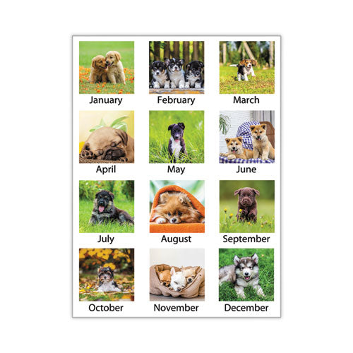 Puppies Monthly Desk Pad Calendar, Puppies Photography, 22 X 17, White Sheets, Clear Corners, 12-month (jan To Dec): 2023