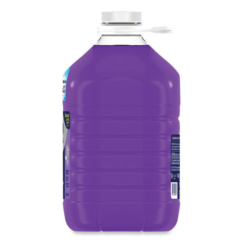 All-purpose Cleaner, Lavender Scent, 1 Gal Bottle