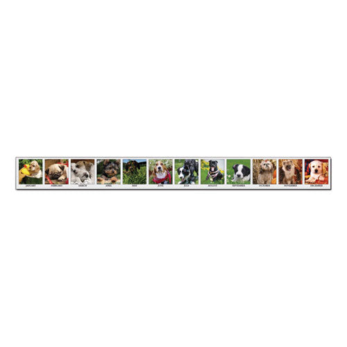 Earthscapes Recycled Desk Tent Monthly Calendar, Puppies Photography, 8.5 X 4.5, White/multicolor Sheets, 2023