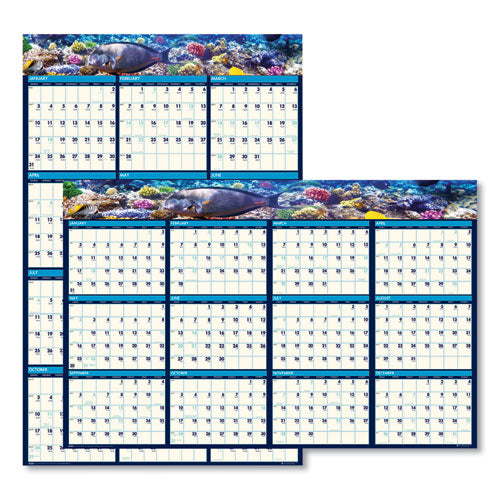 Earthscapes Recycled Reversible/erasable Yearly Wall Calendar, Sea Life Photos, 24 X 37, White Sheets, 12-month(jan-dec):2023
