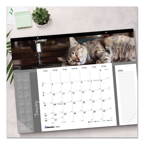 Pets Collection Monthly Desk Pad, Furry Kittens Photography, 22 X 17, White Sheets, Black Binding, 12-month (jan-dec): 2024