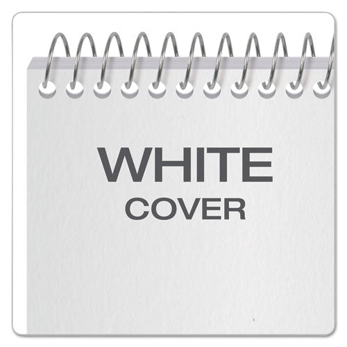 Earthwise By Ampad Recycled Reporter's Notepad, Gregg Rule, White Cover, 70 White 4 X 8 Sheets