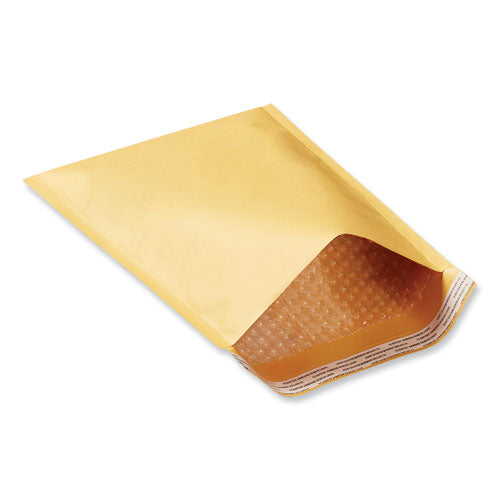 Peel Seal Strip Cushioned Mailer, #000, Extension Flap, Self-adhesive Closure, 4 X 8, 25/carton