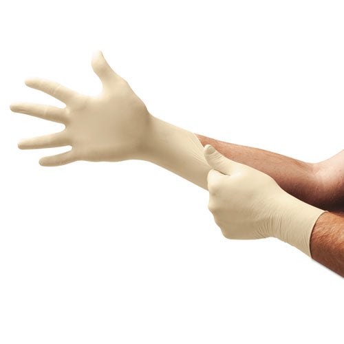 Xt Premium Latex Disposable Gloves, Powder-free, Medium, 100/box