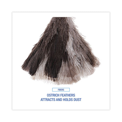 Professional Ostrich Feather Duster, 7" Handle