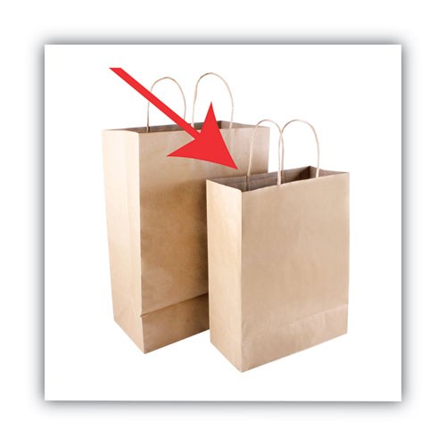 Premium Shopping Bag, 10" X 4.5" X 13", Brown Kraft, 50/box