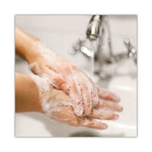 Basics Mp Free Liquid Hand Soap, Unscented, 15 Oz Refill Bottle, 6/carton