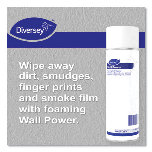 Limpiador de pared en espuma Wall Power, lata de 20 oz, 12/cartón