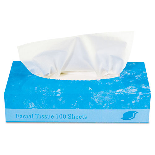 Pañuelos faciales en caja, 2 capas, blanco, 100 hojas/caja, 30 cajas/cartón