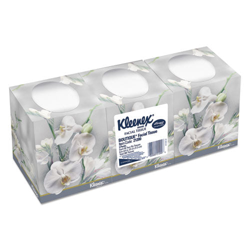 Trusted Care Facial Tissue, 2-ply, White, 160 Sheets/box, 3 Boxes/pack, 4 Packs/carton