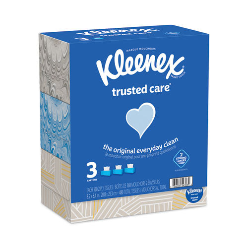 Trusted Care Facial Tissue, 2-ply, White, 160 Sheets/box, 3 Boxes/pack, 4 Packs/carton