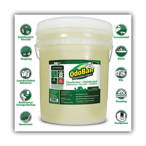 Concentrated Odor Eliminator And Disinfectant, Eucalyptus, 5 Gal Pail