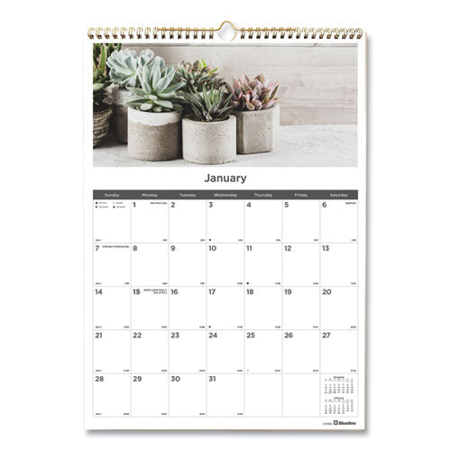 12-month Wall Calendar, Succulent Plants Photography, 12 X 17, White/multicolor Sheets, 12-month (jan To Dec): 2024