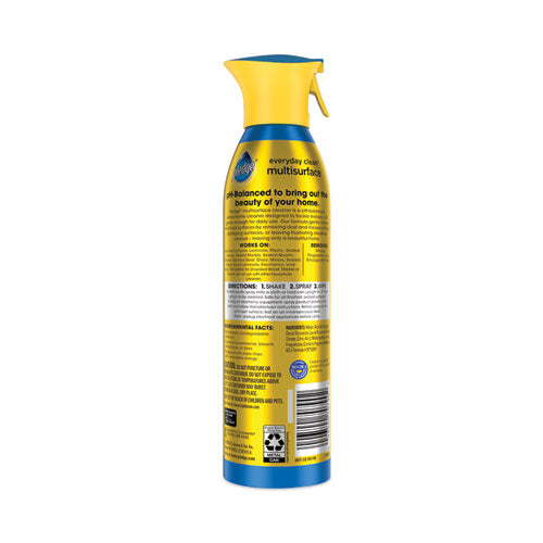 Multisuperficie todos los días, ducha de lluvia, rociador de aerosol de 9.7 oz