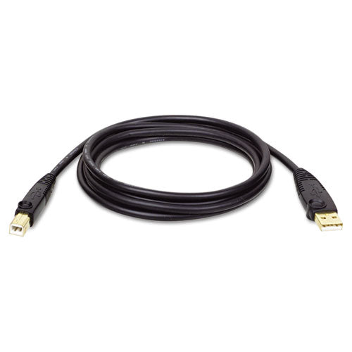 Cable de extensión USB 2.0 A, 10 pies, negro